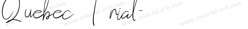 Quebec Trial字体转换